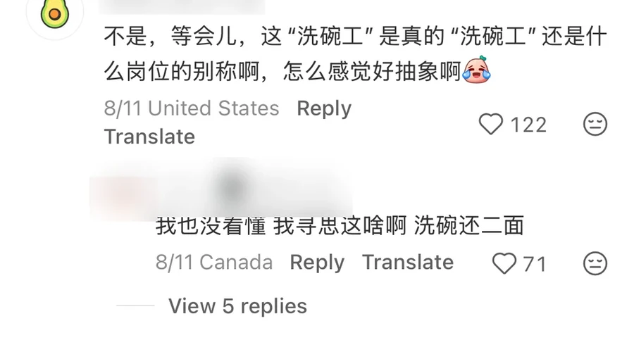 A RedNote comment asking whether dishwasher is a literal job or a coded title and saying the situation feels 抽象, 122 likes, United States; username blurred